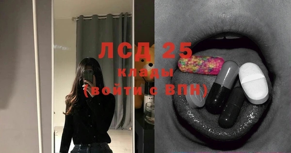 ПСИЛОЦИБИНОВЫЕ ГРИБЫ Заводоуковск