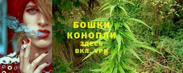 молекула духа Заволжск