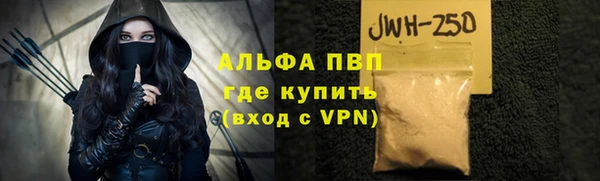 молекула духа Заволжск