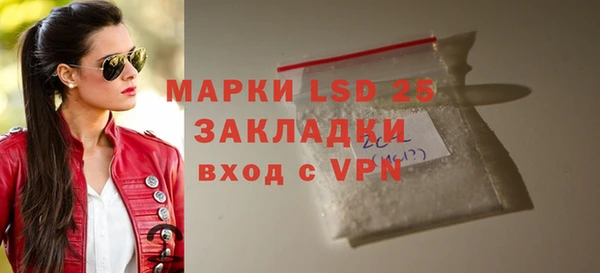ПСИЛОЦИБИНОВЫЕ ГРИБЫ Заводоуковск