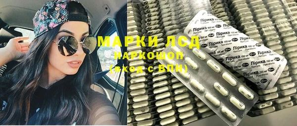 ПСИЛОЦИБИНОВЫЕ ГРИБЫ Заводоуковск