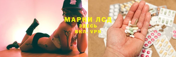 ПСИЛОЦИБИНОВЫЕ ГРИБЫ Заводоуковск