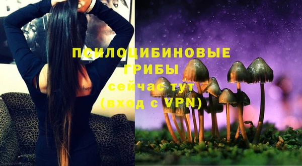 ПСИЛОЦИБИНОВЫЕ ГРИБЫ Заводоуковск