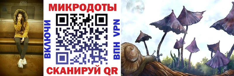 Галлюциногенные грибы Psilocybe  OMG зеркало  Иланский 