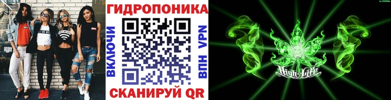 купить наркотик  Иланский  Канабис OG Kush 